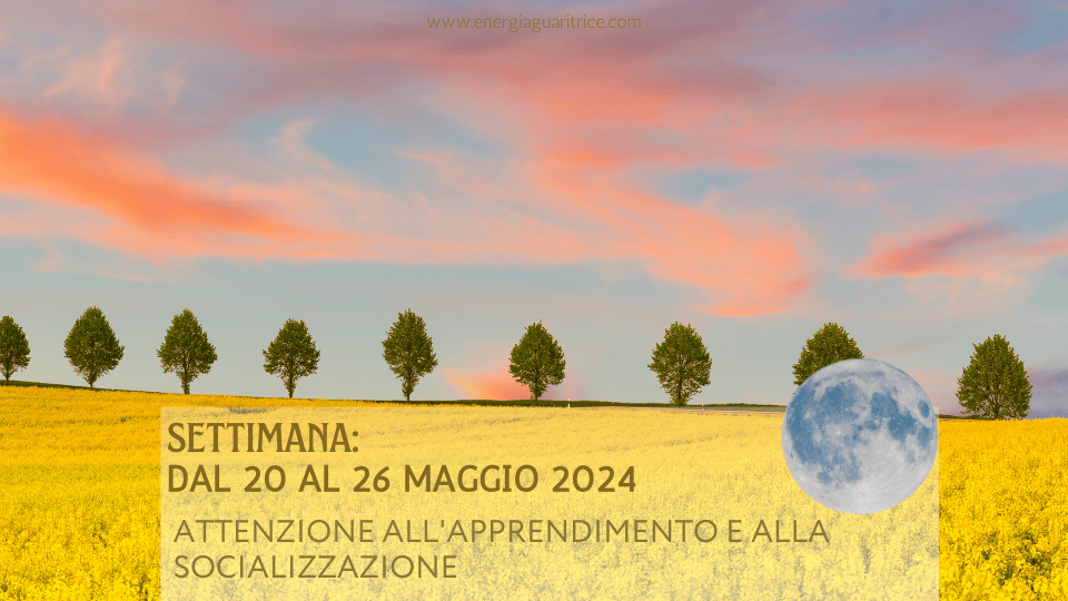 SETTIMANA DAL 20 AL 26 MAGGIO 2024