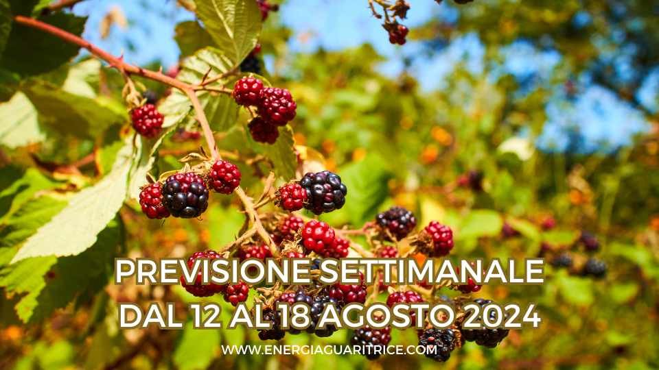 SETTIMANA DAL 12 AL 18 AGOSTO 2024